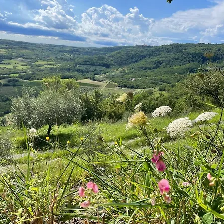 Bolara 60: The Gasthof