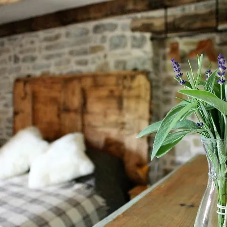 Guest house Bolara 60: The Groznjan